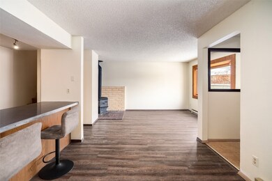 Living room and dining area