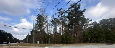 0 Hilo Rd unit 7684427, Fayetteville, GA 30215 - photo 3