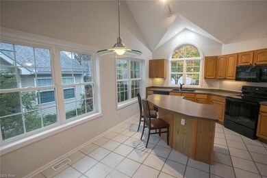 959 Grand View Ln, Aurora, OH 44202 - photo 7