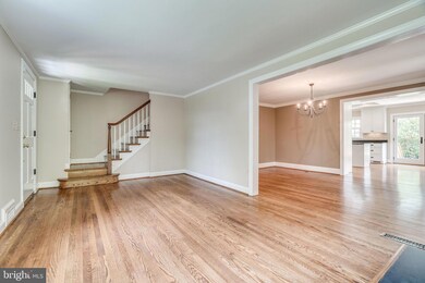 407 Yale Dr, Alexandria, VA 22314 - photo 5