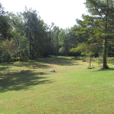 3174 Maple Grove Church Rd, Resaca, GA 30735 - photo 4