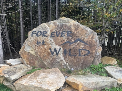 17 First Tracts Blvd, Snowshoe, WV 26209 - photo 2