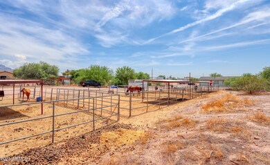 Beautiful Horse Property