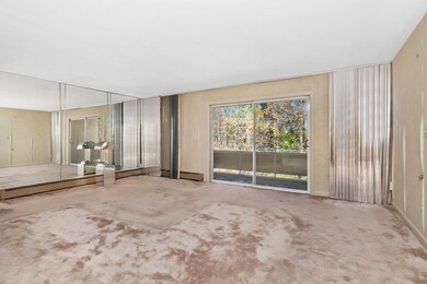 55 Jacqueline Rd unit 11, Waltham, MA 02452 - photo 5