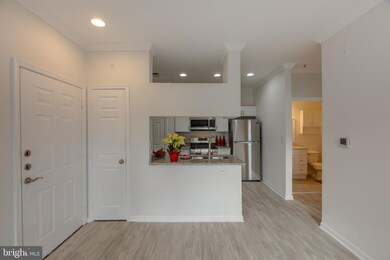 Bryson At Woodland Park unit 111, Herndon, VA 20171 - photo 7