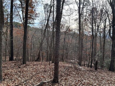 0 Georgia 105, Baldwin, GA 30511 - photo 6