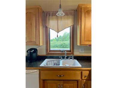Kitchen sink.JPG