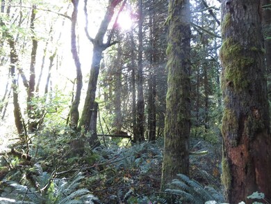 0 Klein Rd unit 17550674, Napavine, WA 98565 - photo 4