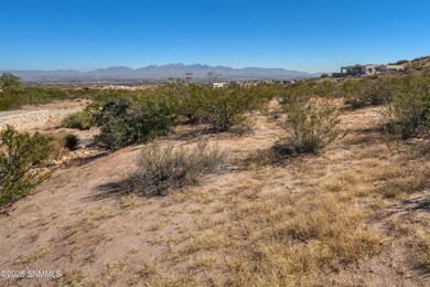 1286 Calle Ventanas, Las Cruces, NM 88007 - photo 4