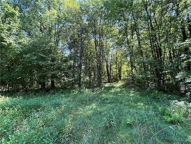 33 Austin Rd, Albion, NY 13302 - photo 3