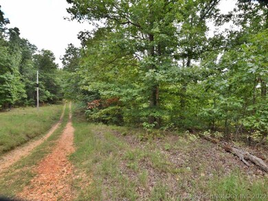 6355 N Big Feather Ridge Rd, Proctor, OK 74457 - photo 5