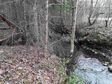 44 Collinswood Rd, Stewartstown, NH 03576 - photo 4