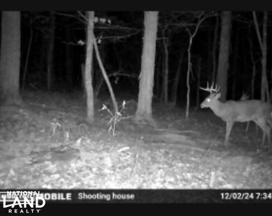 0 Southard Rd unit 25767772, Gurley, AL 35748 - photo 7