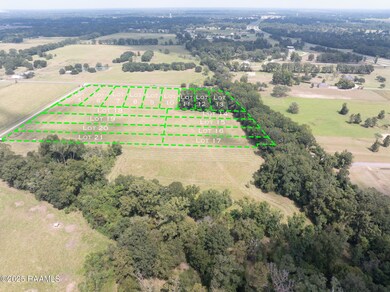 Tbd Begnaud Rd unit Lot 24, Sunset, LA 70584 - photo 5