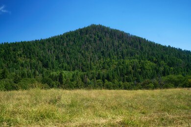 Firebird Farms_08