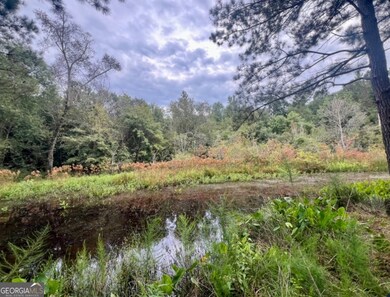 0 McCarty Dodd Rd unit 10646393, Colbert, GA 30628 - photo 2