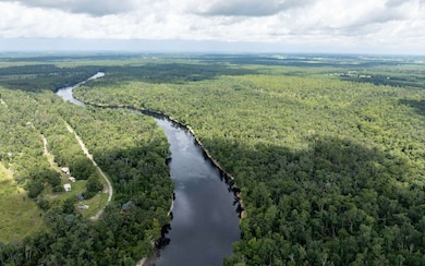 TBD NE 185th Rd, Live Oak, FL 32060 - photo 3