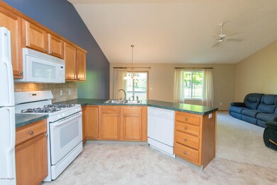 7499 Navajo Valley Dr SW unit 37, Byron Center, MI 49315 - photo 6