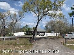 IMG_3469 (3)