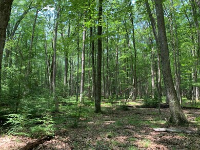 00 Elk Rd, Heath Township, PA 15860 - photo 7