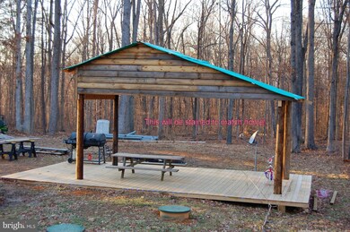 311 Jones Farm Rd, Bentonville, VA 22610 - photo 3