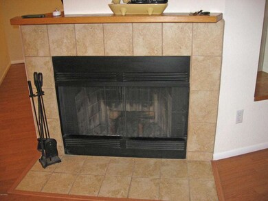 Wood-burning fireplace
