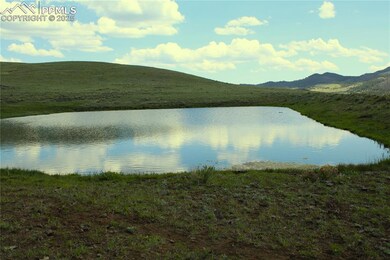 0 State Hwy unit 2777877, Guffey, CO 80820 - photo 2