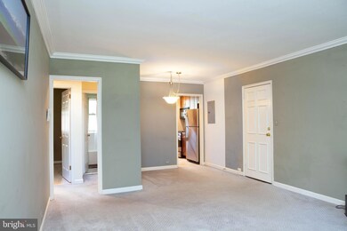 201 N George Mason Dr unit 2012, Arlington, VA 22203 - photo 3