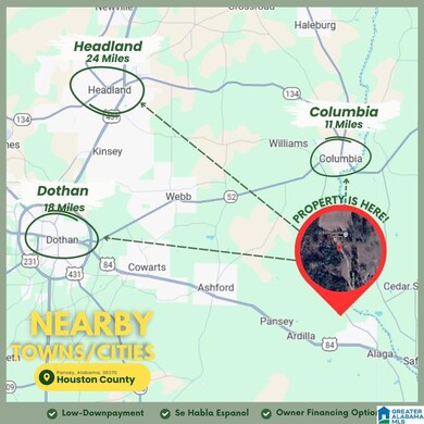 161 Main St, Gordon, AL 36343 - photo 4