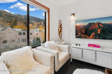 725 E Main St unit 309, Aspen, CO 81611 - photo 6