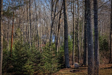 Seasonal Waterviews of Dyer Pond