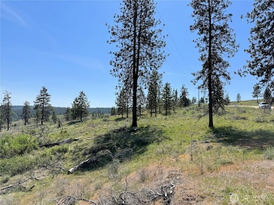 2 Hart Rd N, Davenport, WA 99122 - photo 6