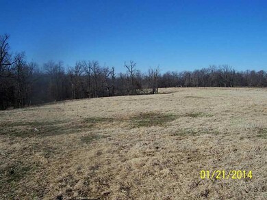 13180 Kenneth Price Rd, Elm Springs, AR 72762 - photo 5