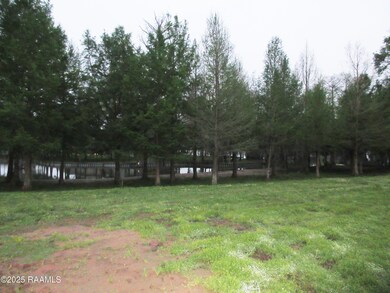 Tbd Pikachu Ln, Port Barre, LA 70577 - photo 7