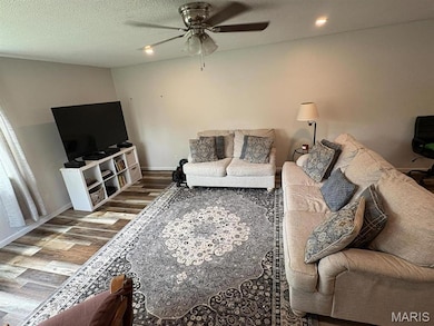 10817 Cabin Ln, Dexter, MO 63841 - photo 5