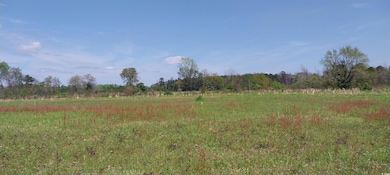 View of nature