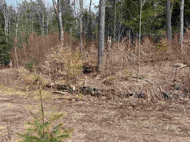 298 Nh Route 10, Marlow, NH 03456 - photo 4