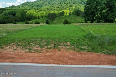 0 Waterfront Knoll unit 1304154, Sharps Chapel, TN 37866 - photo 3