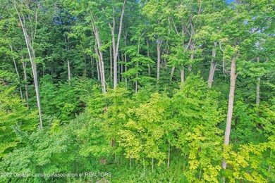 DJI_0041