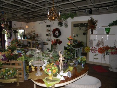 Display Area