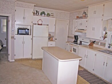 Kitchen View 2