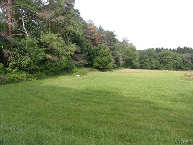 0 VL Java Lake Rd, Arcade, NY 14009 - photo 3