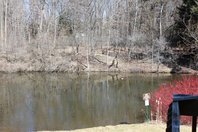 IMG_0735.JPG