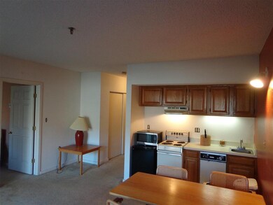 36 Lodge Rd unit C109, Lincoln, NH 03251 - photo 5