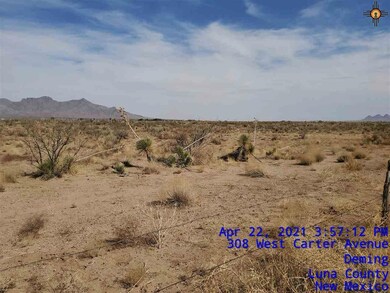 00 Avenura Rd SE, Deming, NM 88030 - photo 6