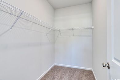 Spacious closet featuring carpet flooring