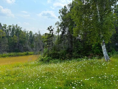 20257 S Libby Rd, Pickford, MI 49774 - photo 5