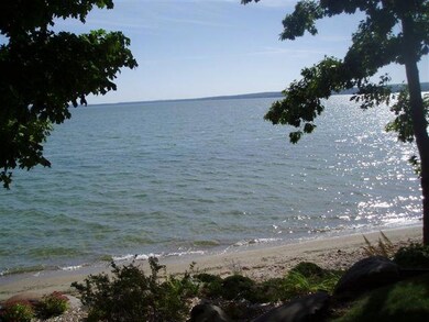 Burt Lake Shore