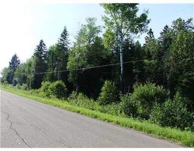 View. Looking Across Road, Just Woods.