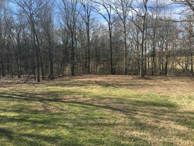 1032 W Stone Creek Trail, Greenbrier, TN 37073 - photo 4